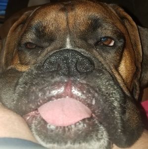 Meet your Posher, Brenda